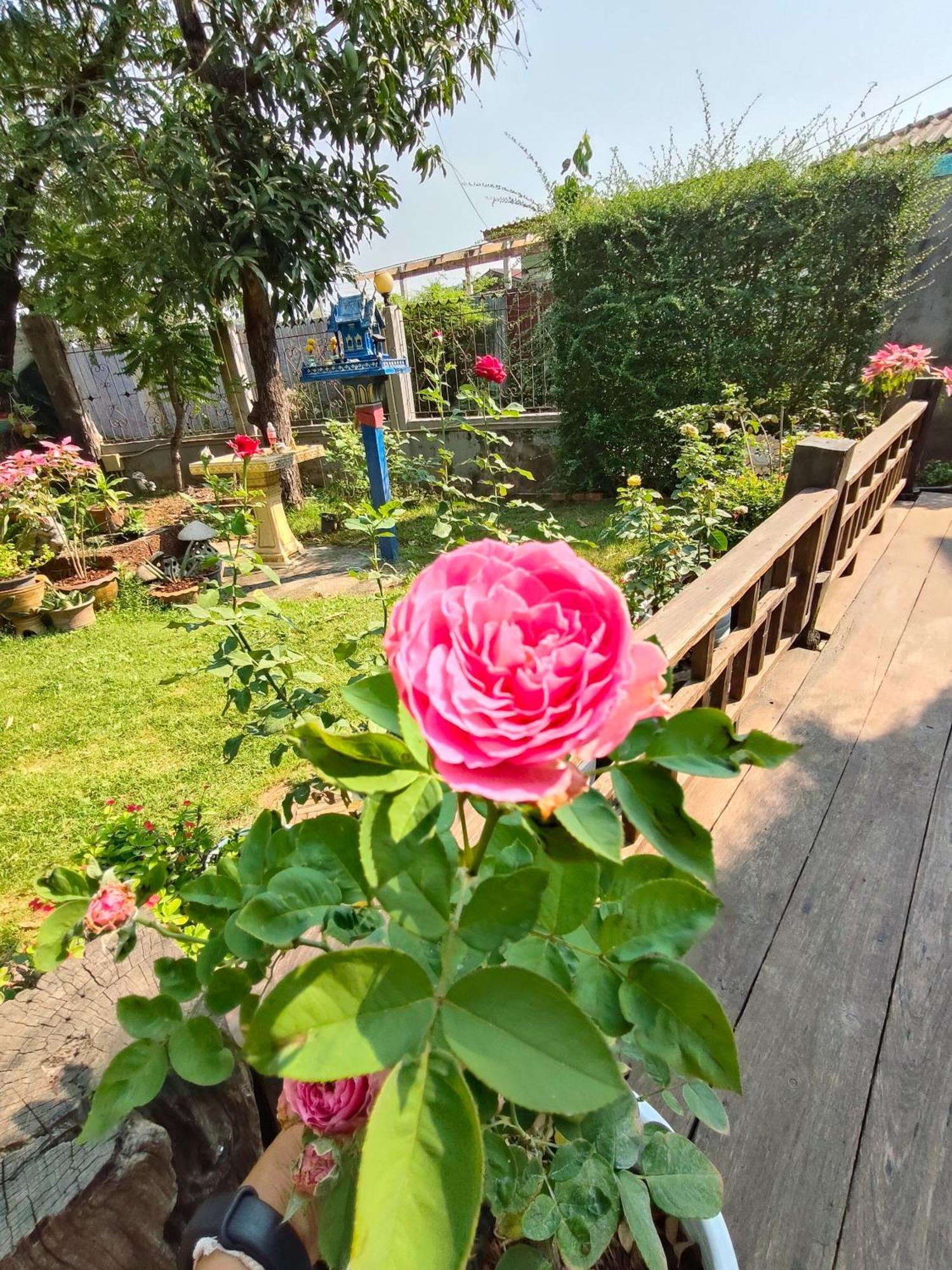 Smilingface Guesthouse Сукхотхай Екстер'єр фото